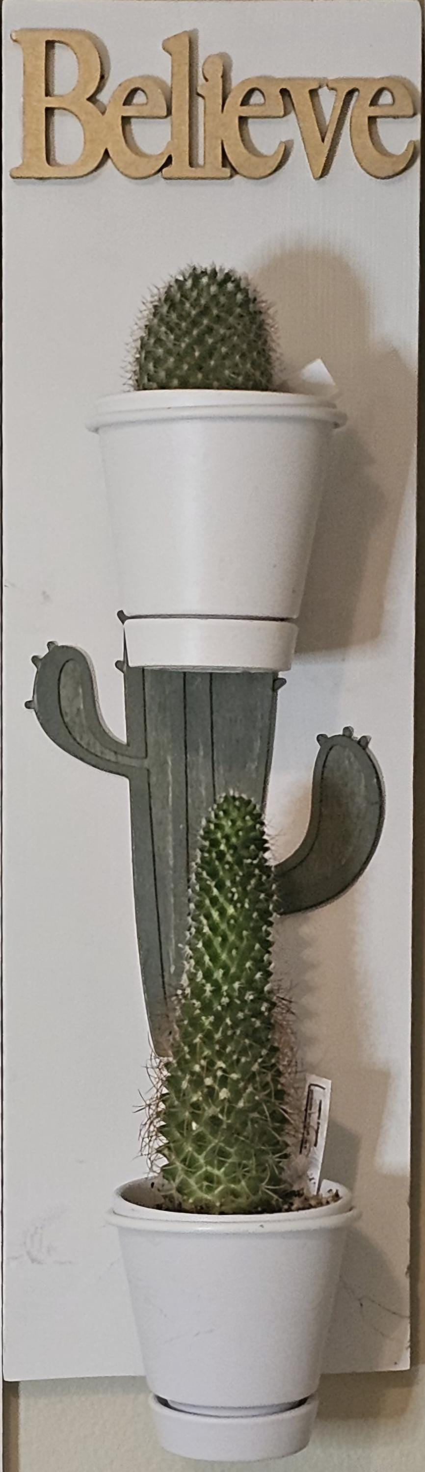 Believe Cactus double 4 inch plant holder