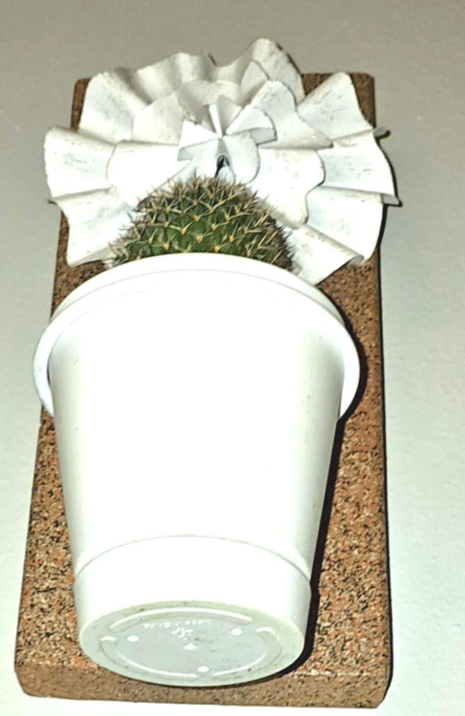 Stoney Clay Color 6 inch Planter or Accessory display