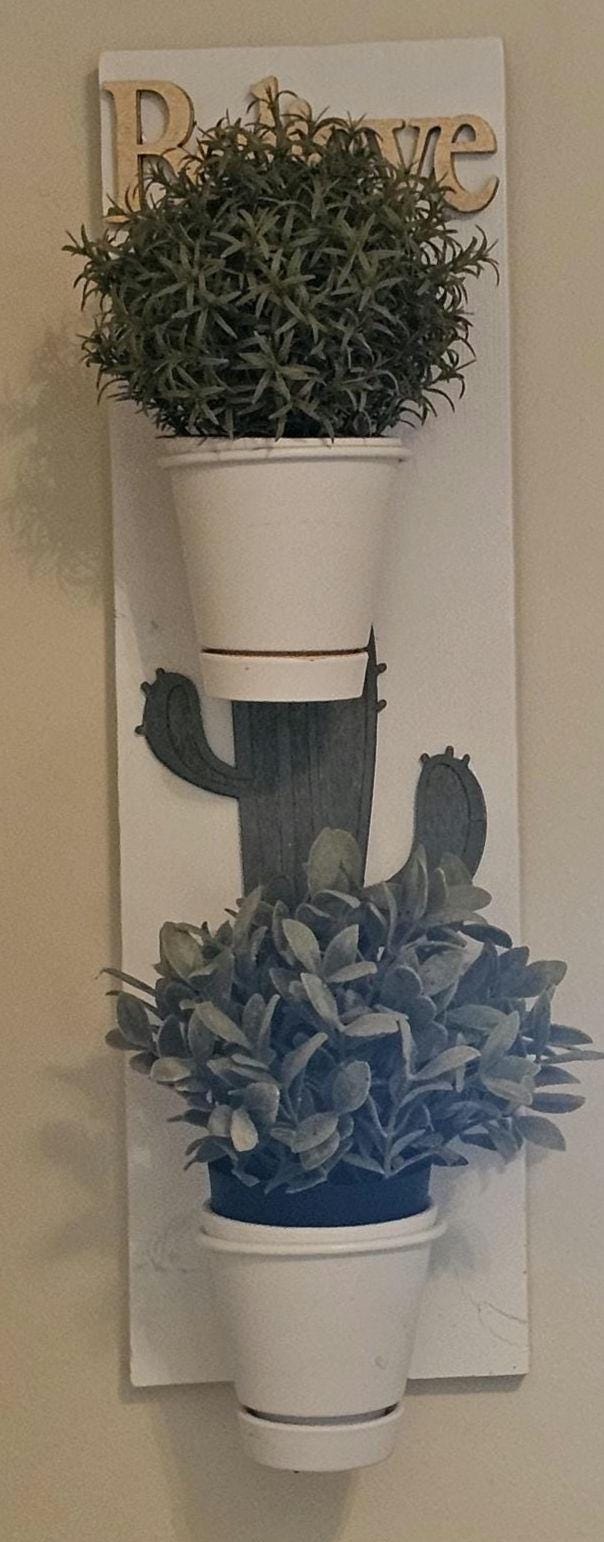 Believe Cactus double 4 inch plant holder