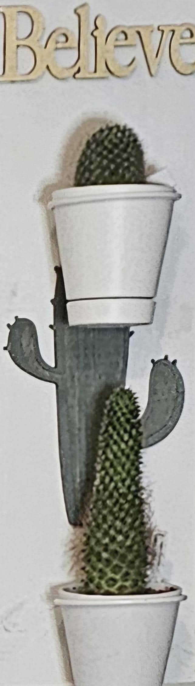 Believe Cactus double 4 inch plant holder