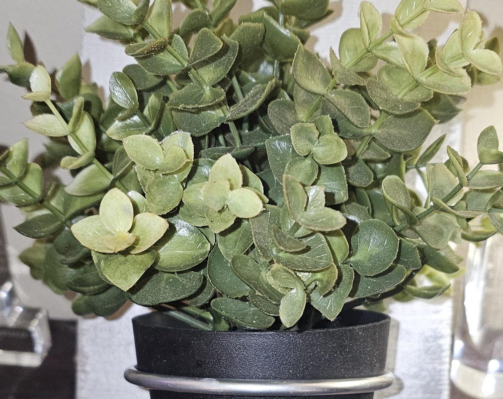 Wood and Metal Accent decor planter for indoor/outdoor walls 9x7